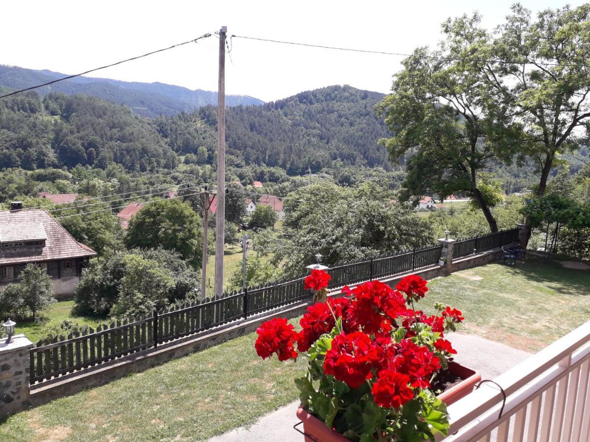 Apartmani Maksimovic Mokra Gora Extérieur photo