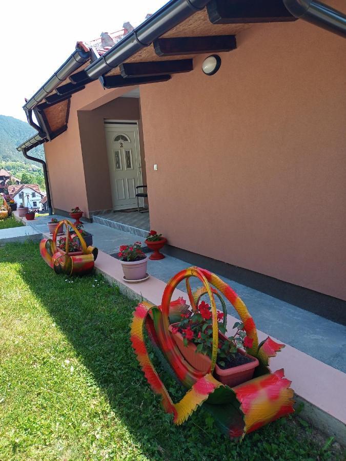 Apartmani Maksimovic Mokra Gora Extérieur photo