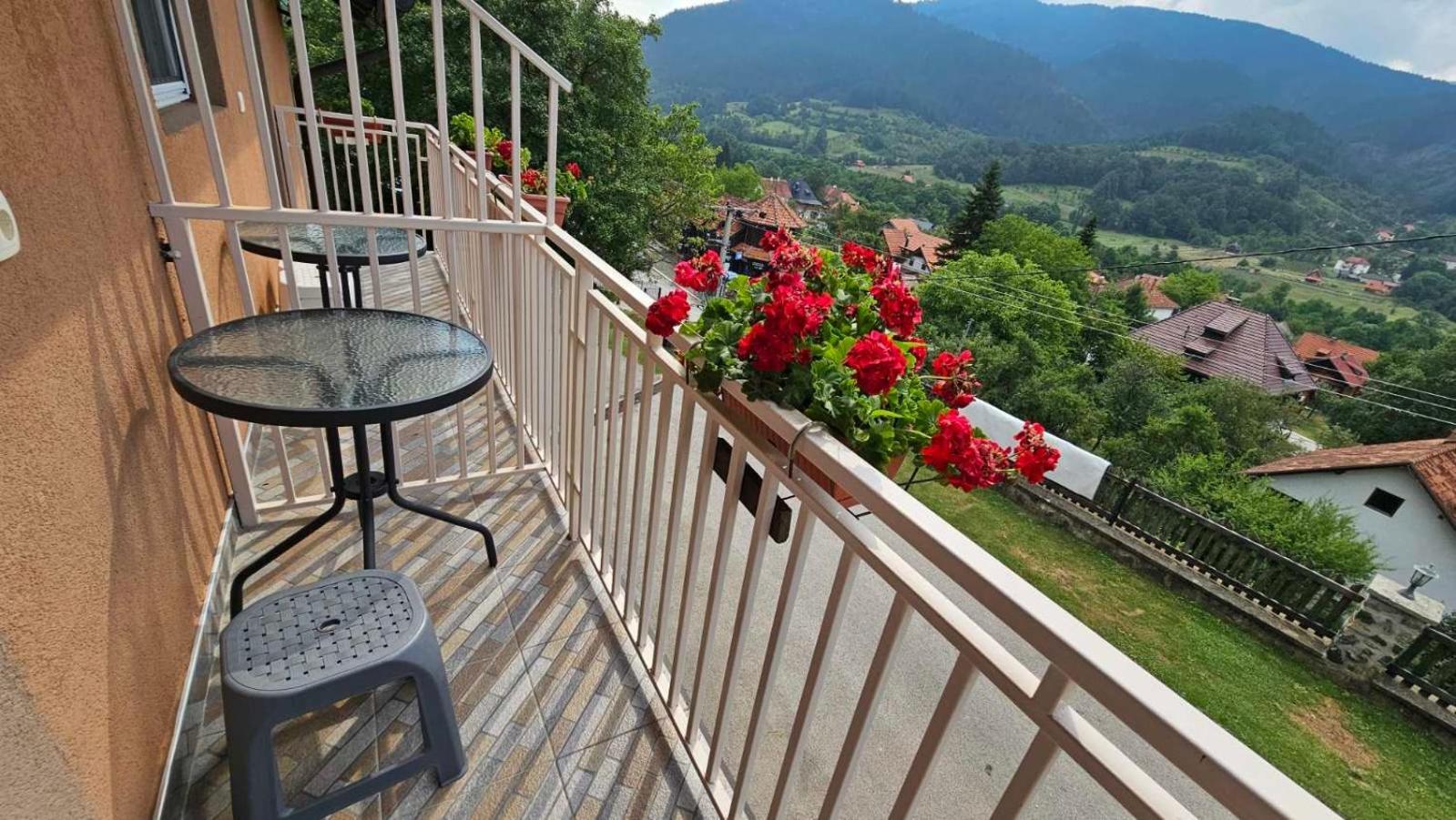 Apartmani Maksimovic Mokra Gora Extérieur photo