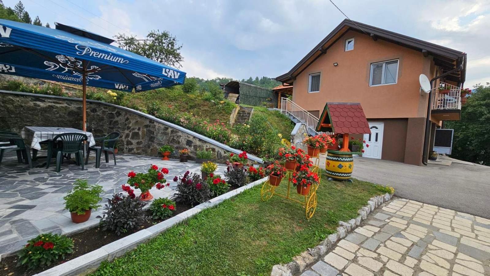 Apartmani Maksimovic Mokra Gora Extérieur photo
